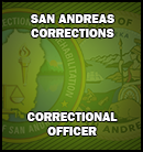 Correctional Officer